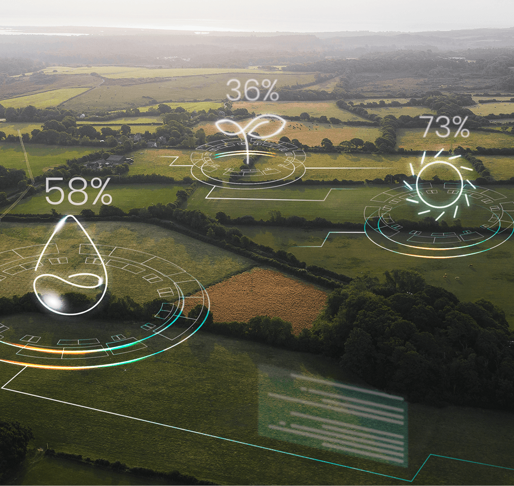 ESG Strategy Development