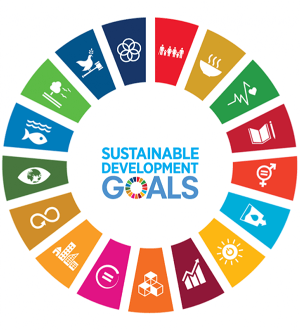 UN Sustainable Development Goals