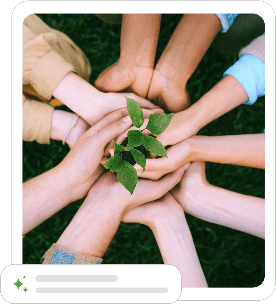 Hands holding a plant